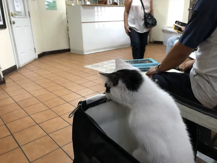 Angelus Pet Hospital 12