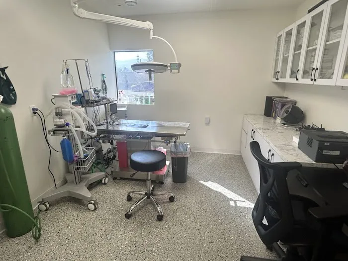 Angelus Pet Hospital 12