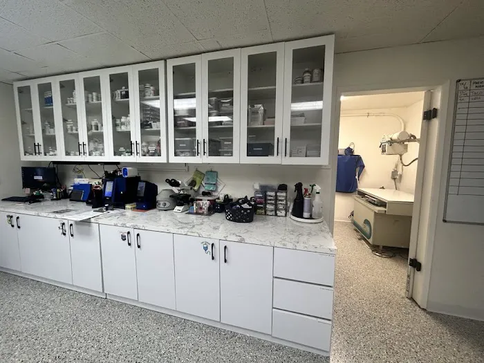 Angelus Pet Hospital 12
