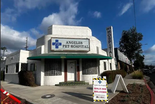 Angelus Pet Hospital 12
