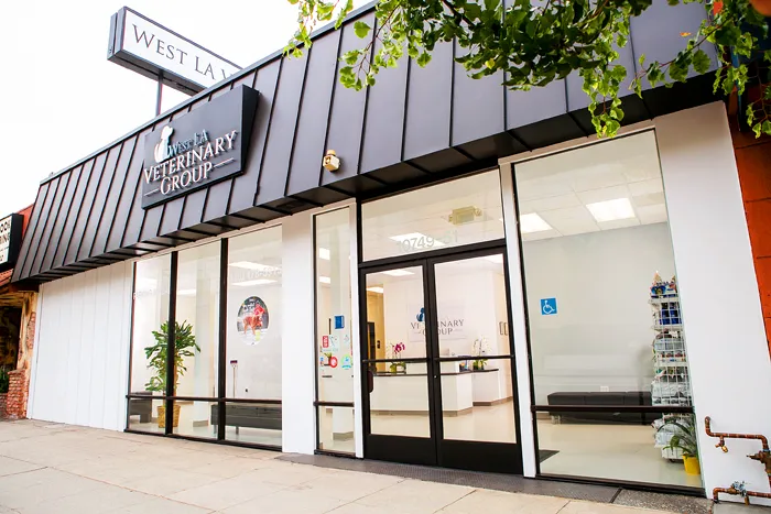 West LA Veterinary Group 12