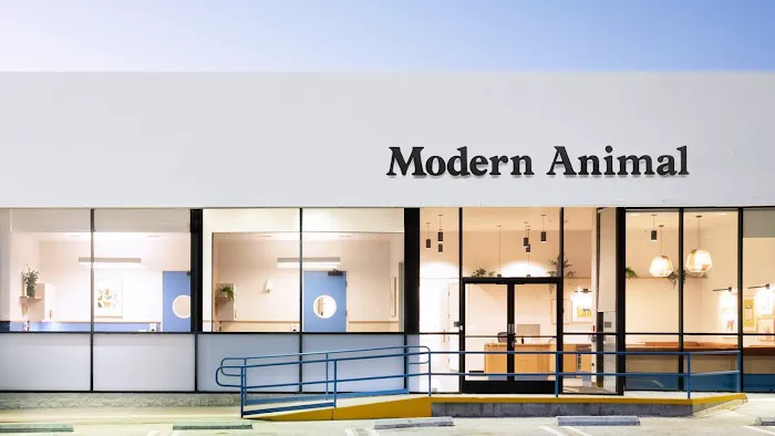 Modern Animal 10