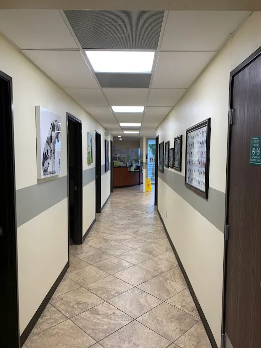 Value Vet Inc. 5