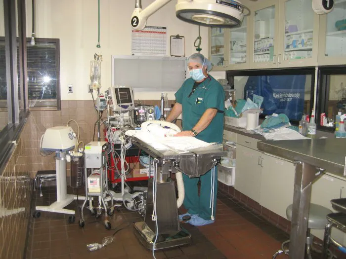 VCA West Los Angeles Animal Hospital 5