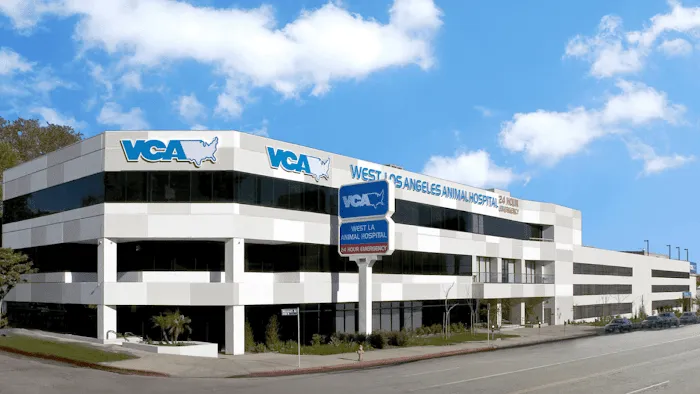VCA West Los Angeles Animal Hospital 10