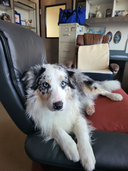 Pasternak Veterinary Center 10