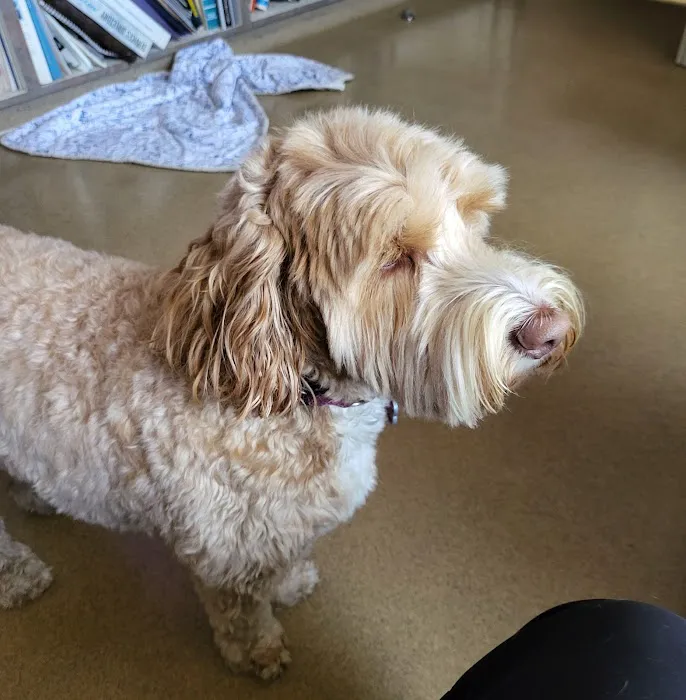 Pasternak Veterinary Center 1