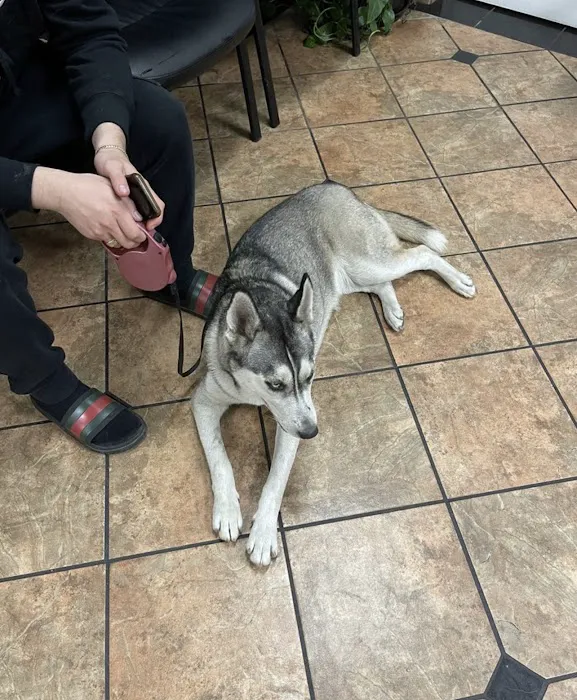 VCA Animal Medical Center of Southern California 12