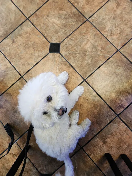 VCA Animal Medical Center of Southern California 12