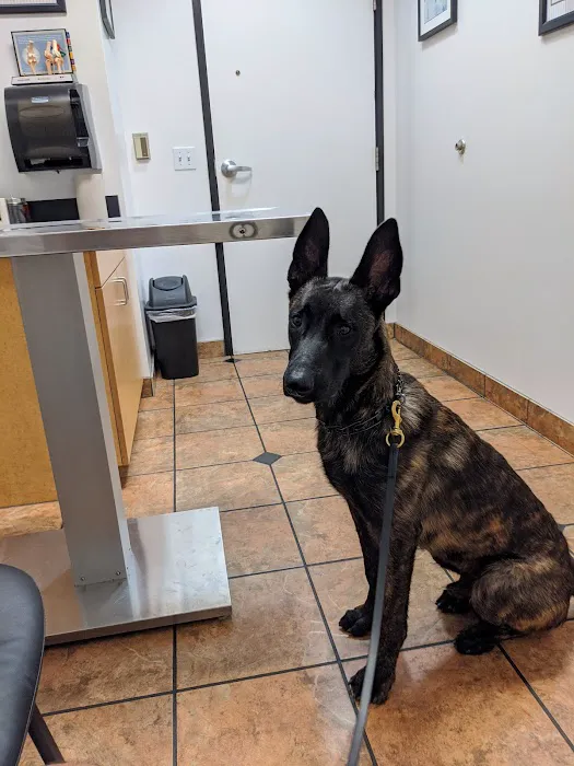 VCA Animal Medical Center of Southern California 12