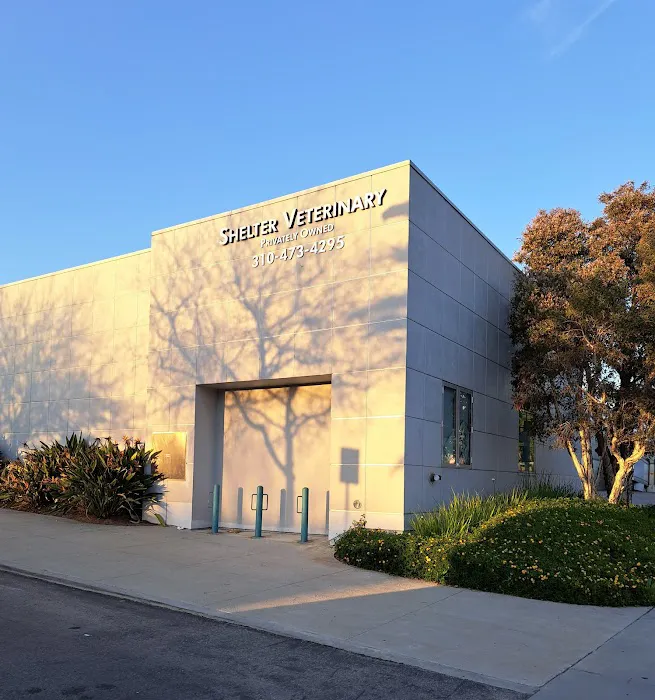 Shelter Veterinary 12