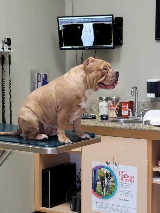 Foothill Animal Hospital Best Upland Vet 12