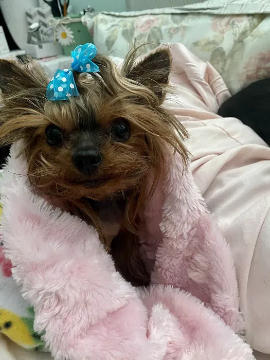 Foothill Animal Hospital Best Upland Vet 12