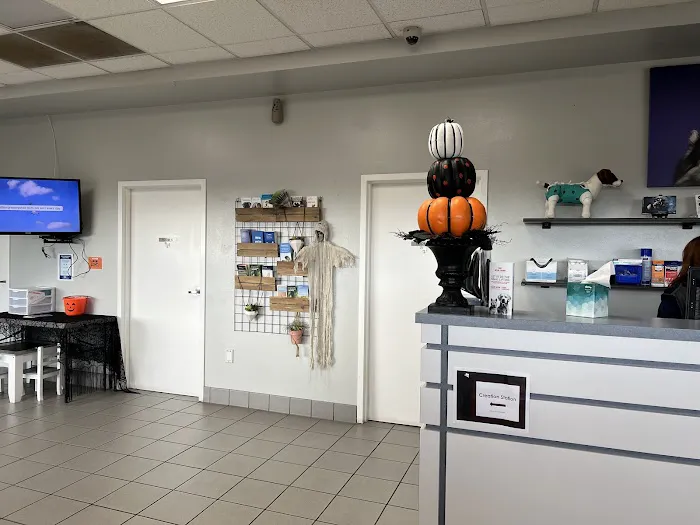 VCA Central Animal Hospital 12