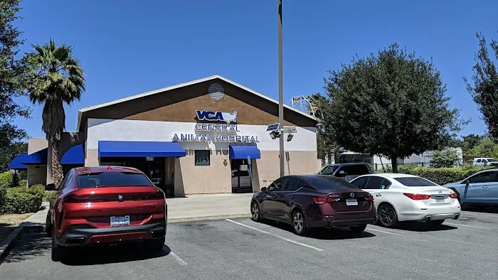 VCA Central Animal Hospital 12