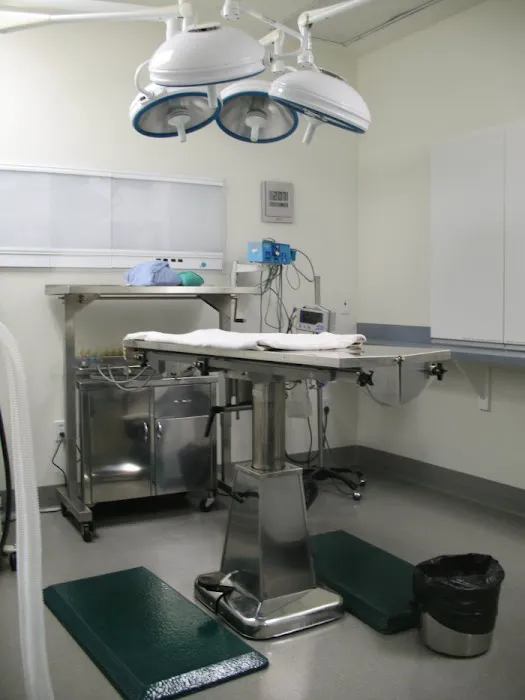 VCA Central Animal Hospital 12