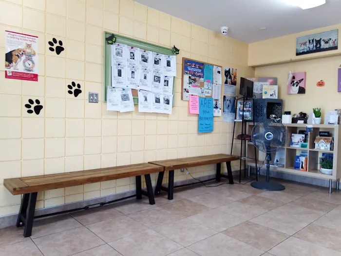 Mountain Avenue Animal Hospital 2