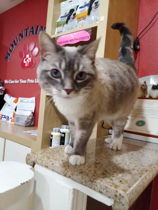 Mountain Avenue Animal Hospital 1