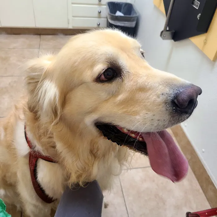 Mountain Avenue Animal Hospital 10