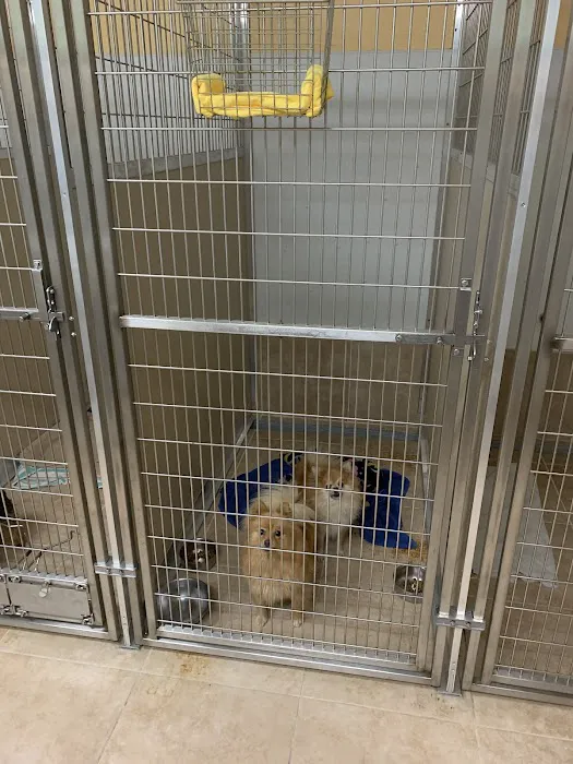 Mountain Avenue Animal Hospital 8