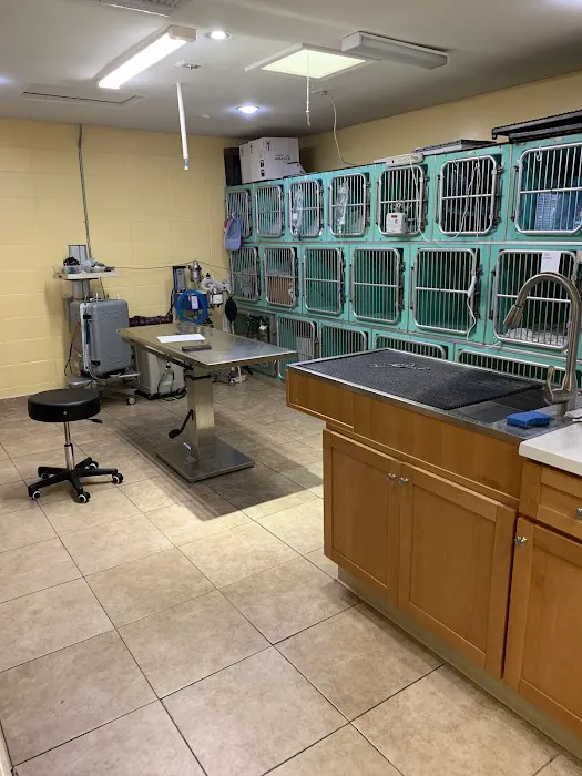 Mountain Avenue Animal Hospital 7