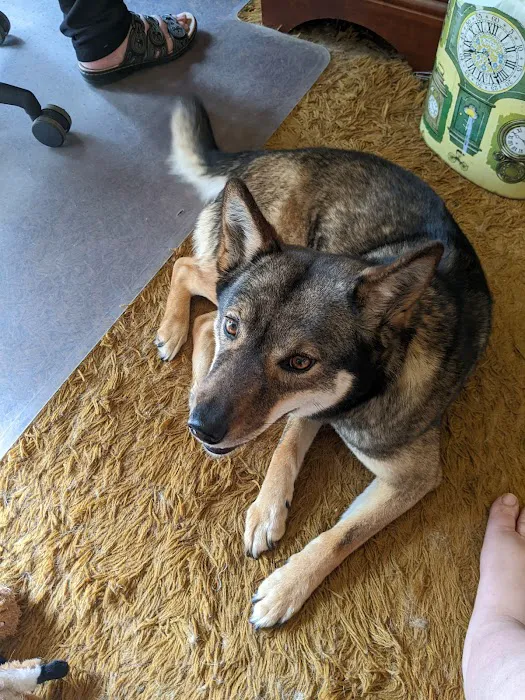 Claremont Veterinary Hospital 7