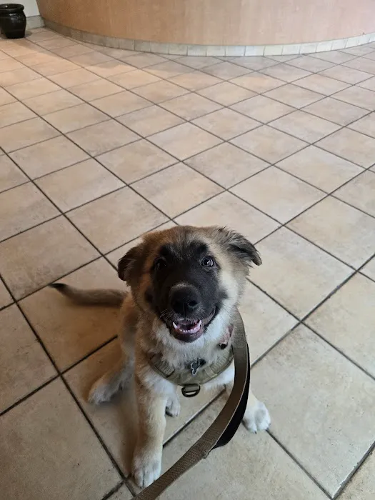 Claremont Veterinary Hospital 10
