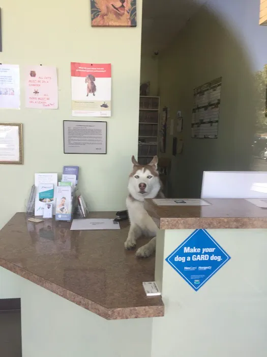 Alleve Animal Hospital 2