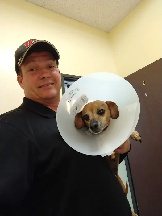 Alleve Animal Hospital 1