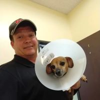 Alleve Animal Hospital ico