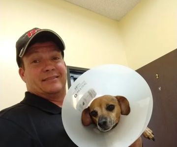 Alleve Animal Hospital