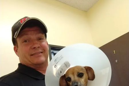 Alleve Animal Hospital