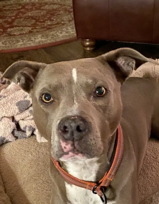 Euclid-Walnut Pet Clinic 12