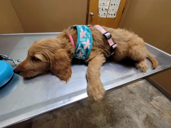 Euclid-Walnut Pet Clinic 12