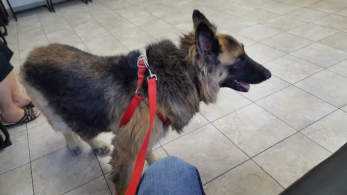 Ontario Veterinary Hospital 12