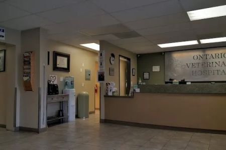 Ontario Veterinary Hospital