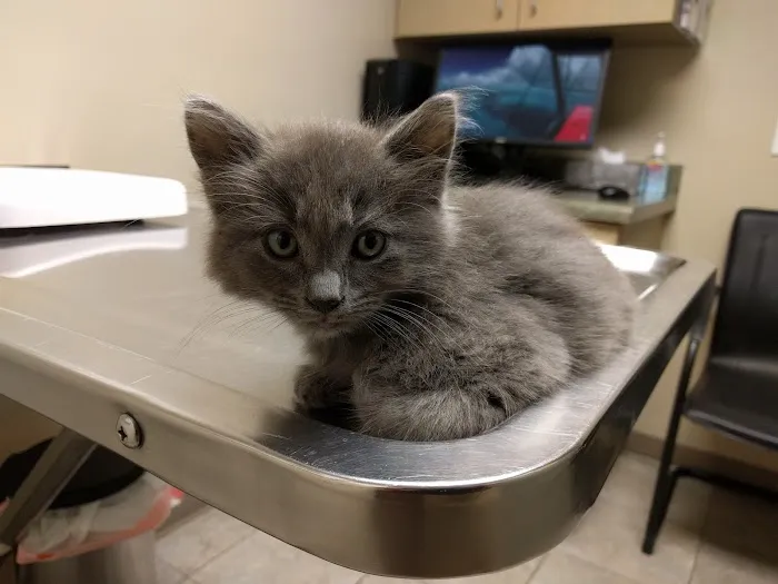 Ontario Veterinary Hospital 12