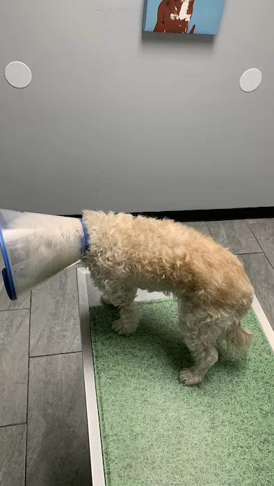 Euclid Veterinary Hospital 12