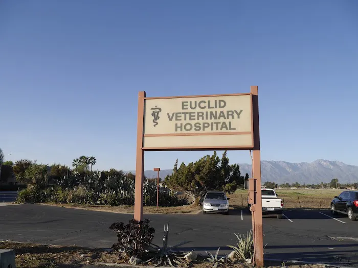 Euclid Veterinary Hospital 12