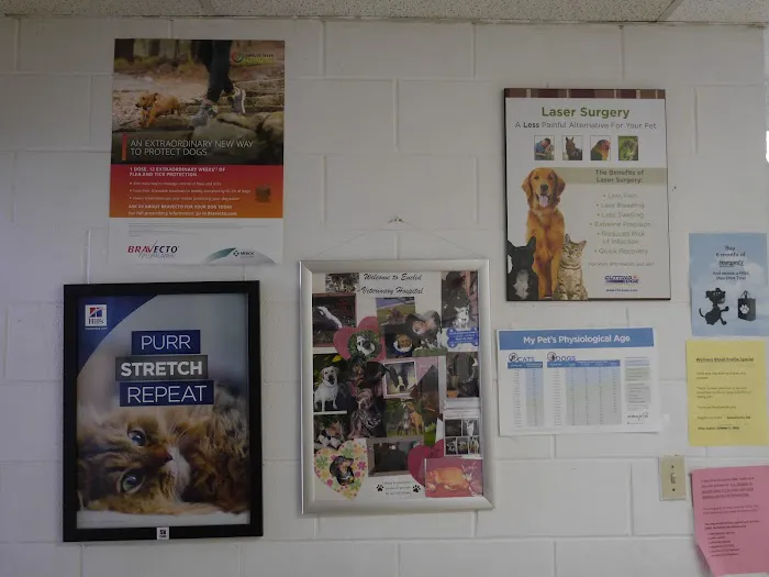 Euclid Veterinary Hospital 12