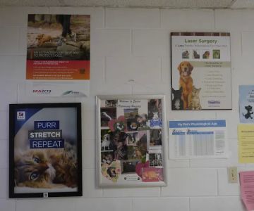 Euclid Veterinary Hospital