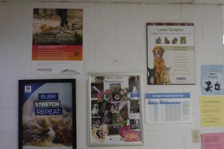 Euclid Veterinary Hospital