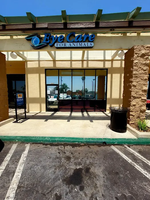 Eye Care for Animals 12