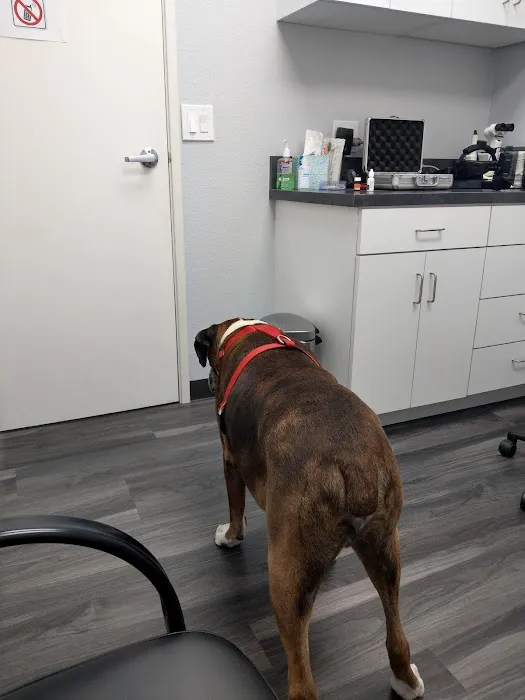 Eye Care for Animals 12