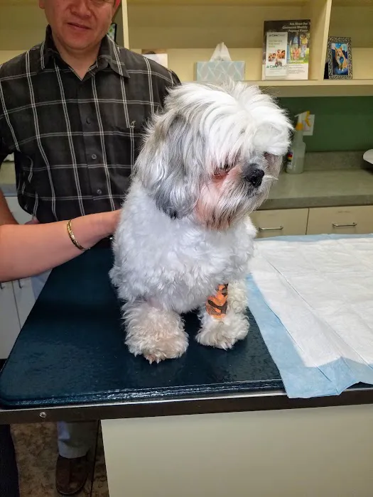 Eye Care for Animals 12