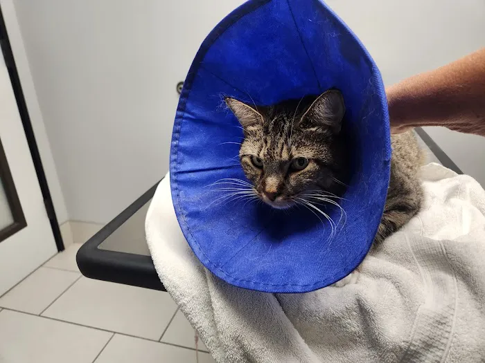 Inland Valley Veterinary Specialists & Emergency Center 12