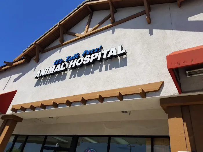 We Talk Pets! Animal Hospital 12