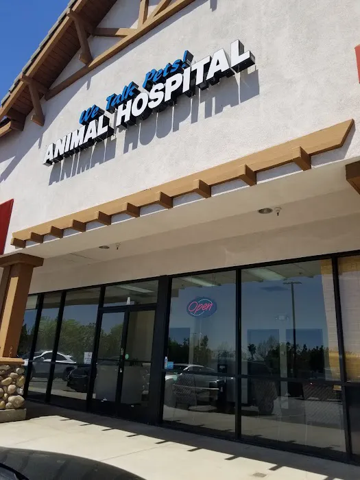 We Talk Pets! Animal Hospital 12