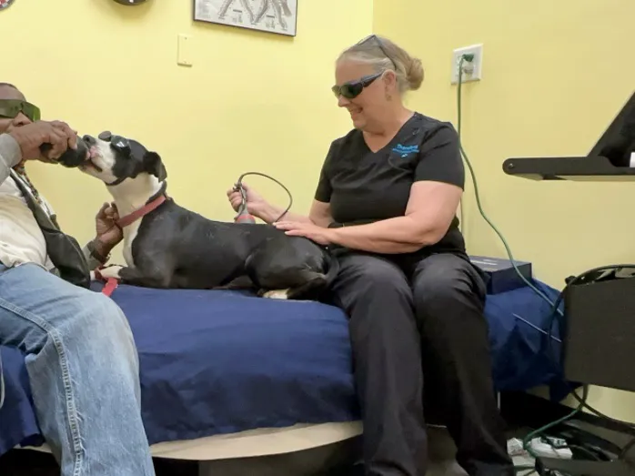 Therapaws 12