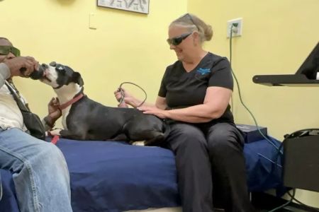 Therapaws